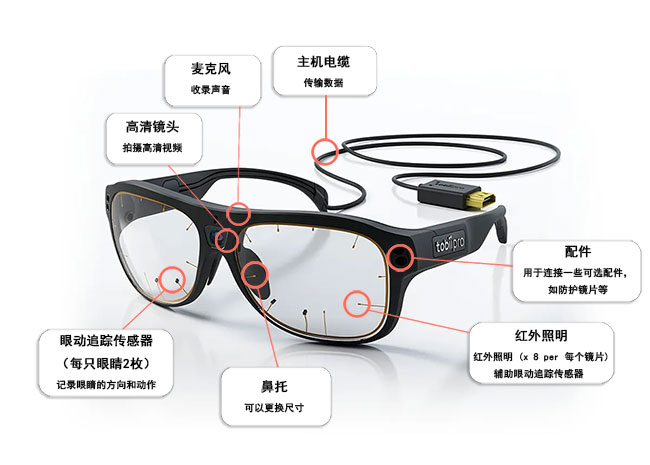 Tobii眼动追踪在运动技能学习中的视觉注意机制研究